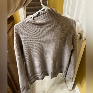 Everlane the Oversized Stroopwafel Turtleneck in Recashmere Heathered Sand